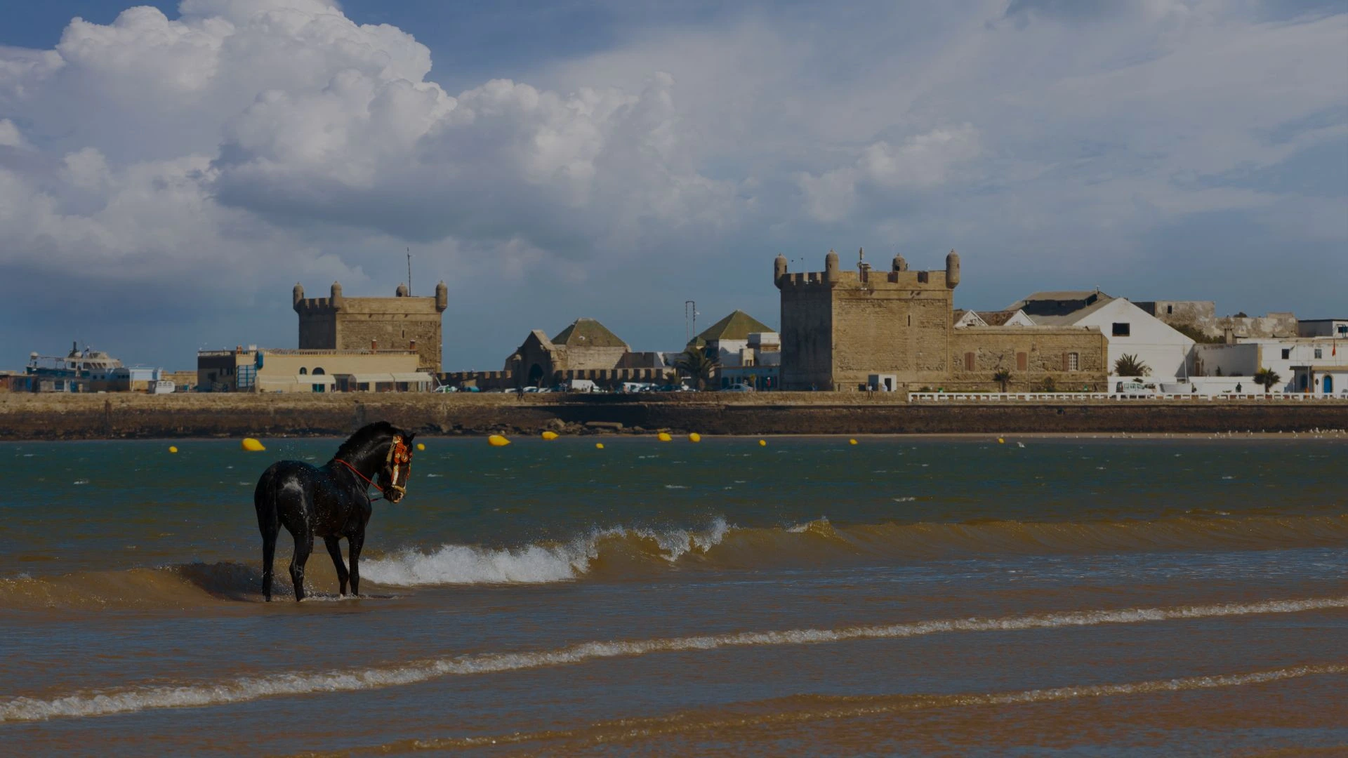 Essaouira day trip Top Things to Do in Essaouira