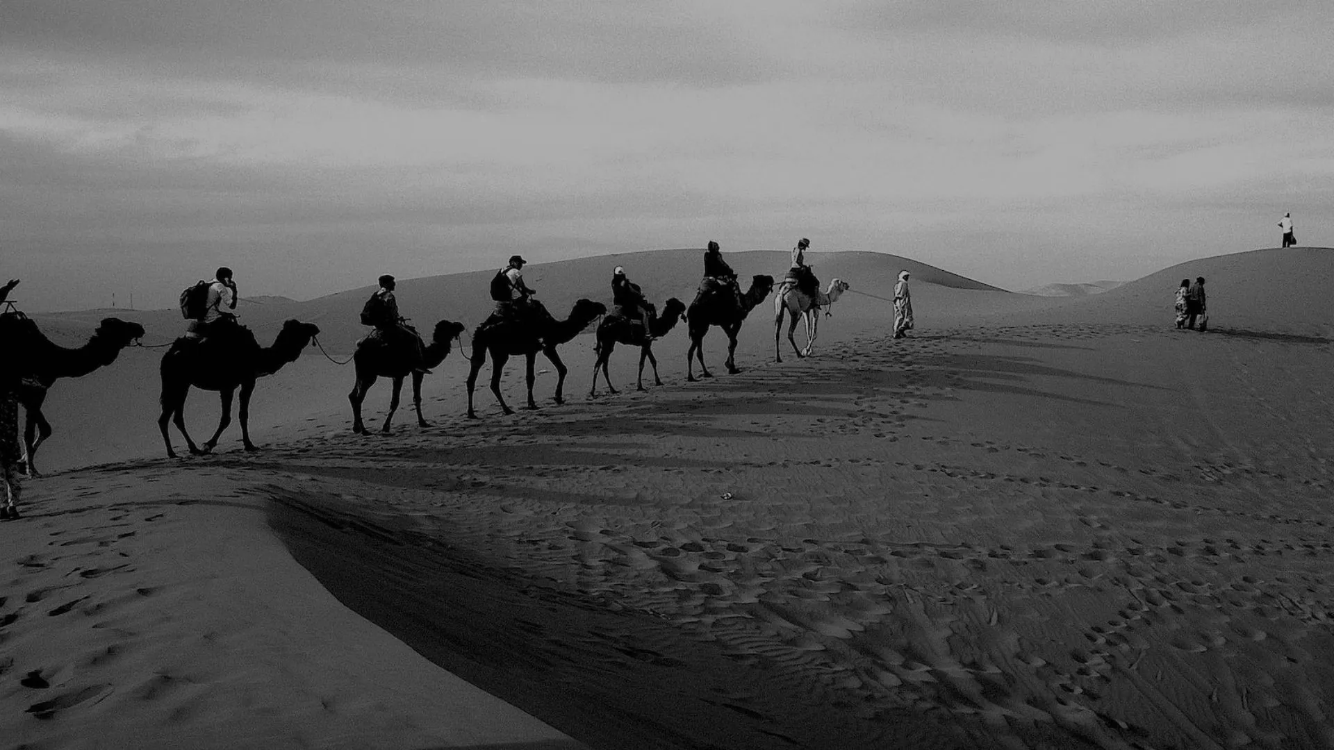 When to Travel to Morocco?