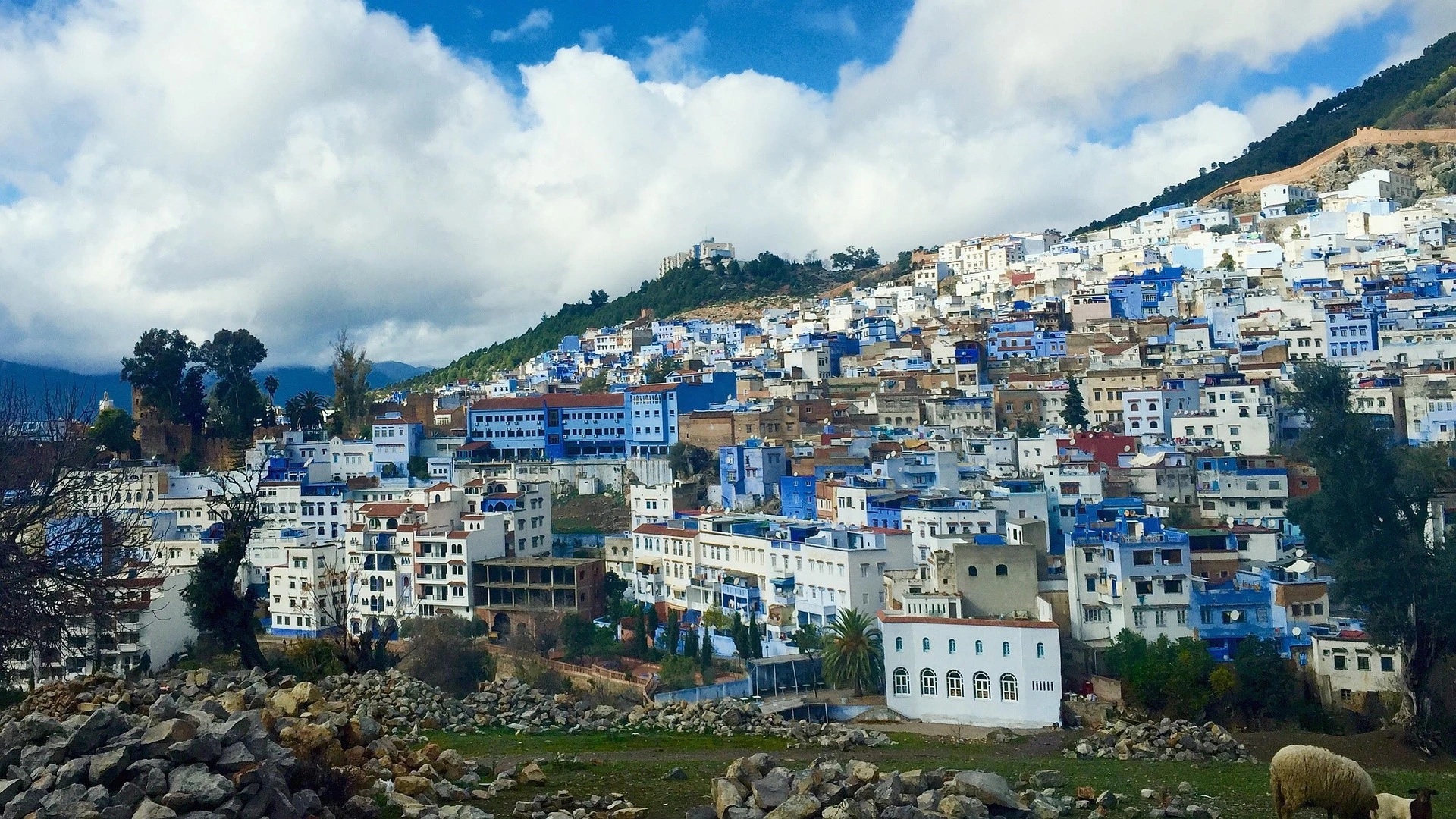 Discover Chefchaouen